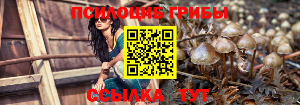 Псилоцибиновые грибы MAGIC MUSHROOMS Губкинский