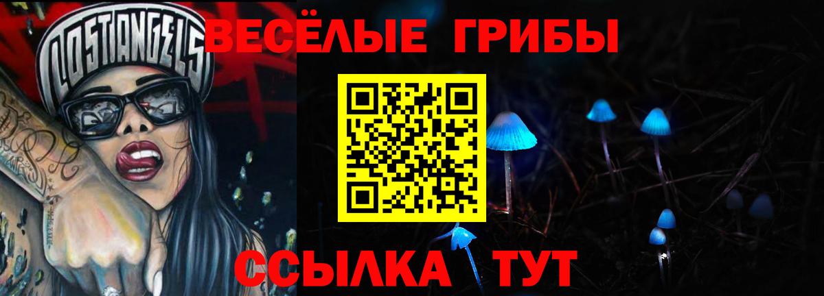 Губкинский  Псилоцибиновые грибы GOLDEN TEACHER  Вход с VPN 