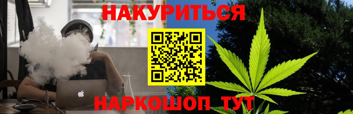 Каннабис сатива Губкинский